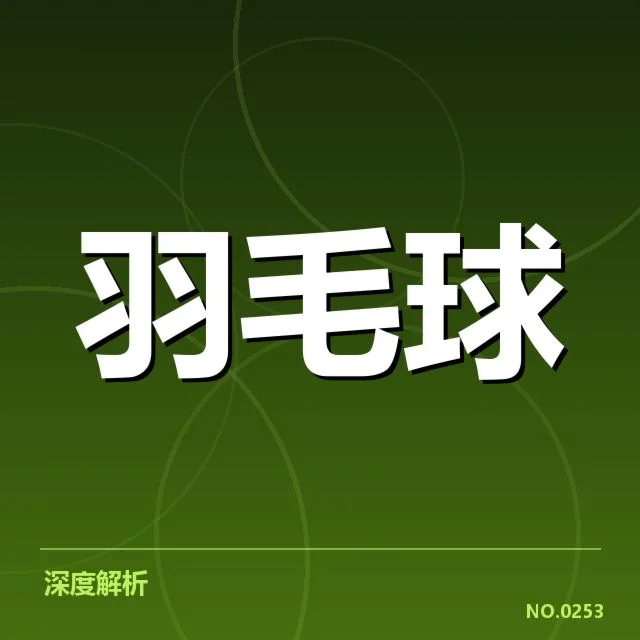 中国羽毛球队主要运动员积分数据展示